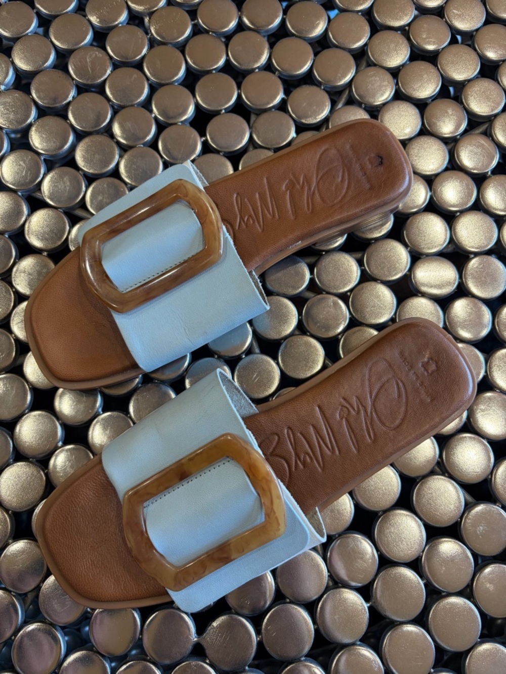 Oh My Sandals Light Blue Slide Sandals with Tortoiseshell Buckle